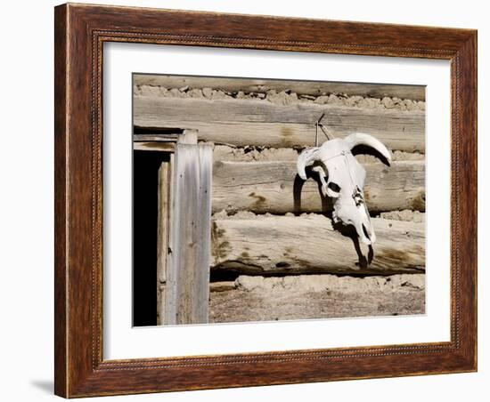 Cattle Skull on Cabin near Salmon, Idaho, USA-Chuck Haney-Framed Photographic Print