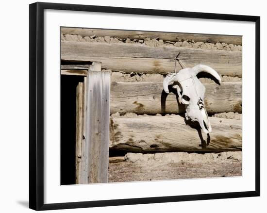 Cattle Skull on Cabin near Salmon, Idaho, USA-Chuck Haney-Framed Photographic Print