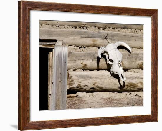 Cattle Skull on Cabin near Salmon, Idaho, USA-Chuck Haney-Framed Photographic Print