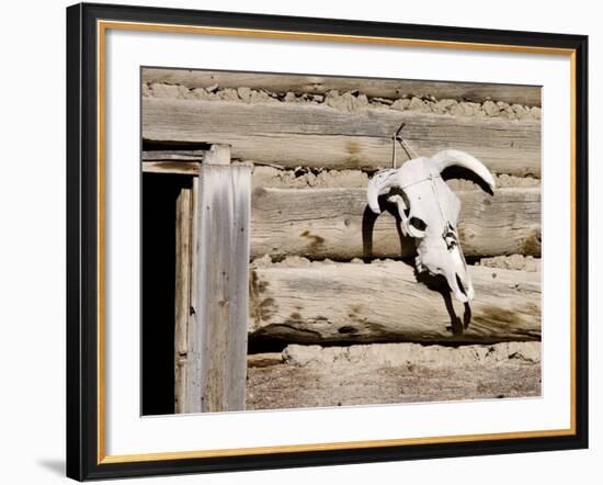 Cattle Skull on Cabin near Salmon, Idaho, USA-Chuck Haney-Framed Photographic Print