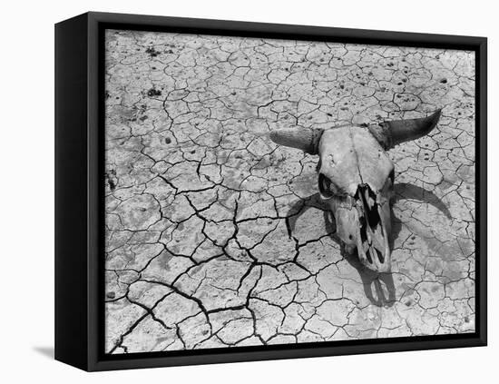 Cattle Skull on the Parched Earth-Arthur Rothstein-Framed Premier Image Canvas