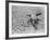 Cattle Skull on the Parched Earth-Arthur Rothstein-Framed Photographic Print