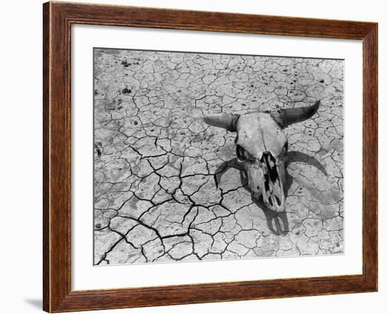 Cattle Skull on the Parched Earth-Arthur Rothstein-Framed Photographic Print