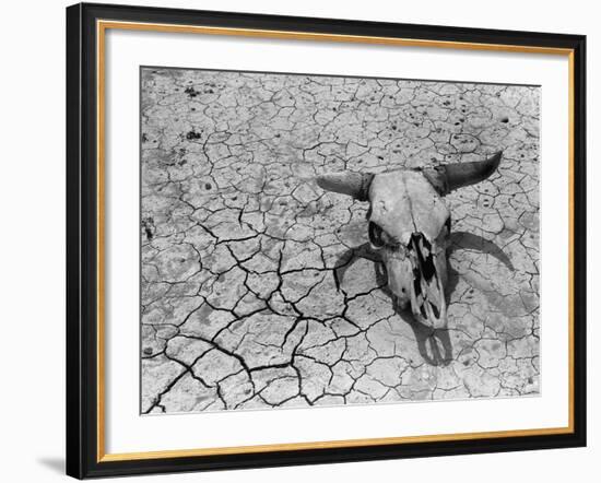 Cattle Skull on the Parched Earth-Arthur Rothstein-Framed Photographic Print