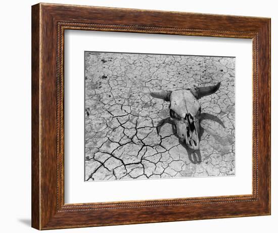 Cattle Skull on the Parched Earth-Arthur Rothstein-Framed Photographic Print