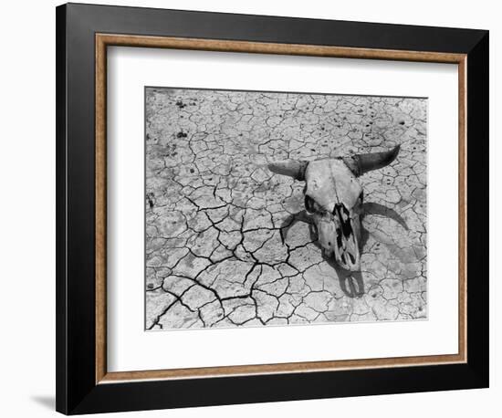 Cattle Skull on the Parched Earth-Arthur Rothstein-Framed Photographic Print