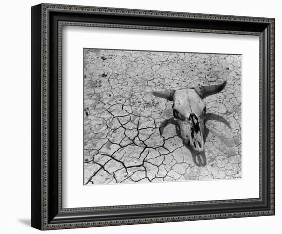 Cattle Skull on the Parched Earth-Arthur Rothstein-Framed Photographic Print