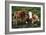 Cattle, Skye, Scotland-Peter Thompson-Framed Photographic Print