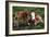 Cattle, Skye, Scotland-Peter Thompson-Framed Photographic Print