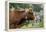 Cattle, Switzerland-Bob Gibbons-Framed Premier Image Canvas