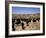 Cattle Transhumance, Spain-Robin Hanbury-tenison-Framed Photographic Print