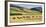Cattle viewed from Trans-Alpine train from Christchurch to Arthur's Pass, Canterbury, South Isla...-null-Framed Photographic Print