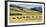 Cattle viewed from Trans-Alpine train from Christchurch to Arthur's Pass, Canterbury, South Isla...-null-Framed Photographic Print