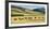 Cattle viewed from Trans-Alpine train from Christchurch to Arthur's Pass, Canterbury, South Isla...-null-Framed Photographic Print