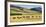 Cattle viewed from Trans-Alpine train from Christchurch to Arthur's Pass, Canterbury, South Isla...-null-Framed Photographic Print