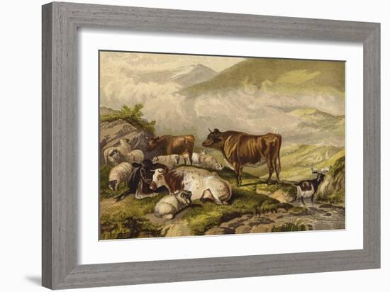 Cattle-Thomas Sidney Cooper-Framed Giclee Print