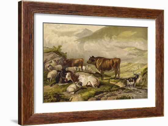 Cattle-Thomas Sidney Cooper-Framed Giclee Print