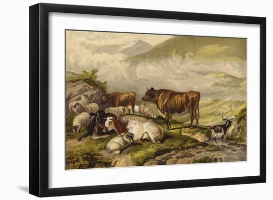 Cattle-Thomas Sidney Cooper-Framed Giclee Print