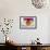 Cattleya Ibrid 2-Fabio Petroni-Framed Photographic Print displayed on a wall