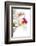 Cattleya Ibrid 3-Fabio Petroni-Framed Photographic Print