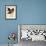 Cattleya Velutina-John Nugent Fitch-Framed Giclee Print displayed on a wall