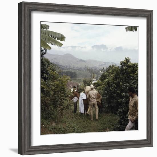 Cauca River Valley, Colombia-null-Framed Photographic Print