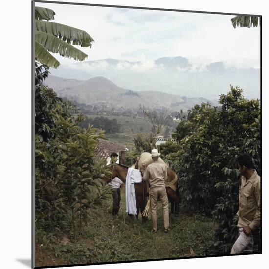 Cauca River Valley, Colombia-null-Mounted Photographic Print