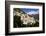 Caucasian Rhododendron Lowers with Mount Elbrus in the Distance, Caucasus, Russia, June-Schandy-Framed Photographic Print