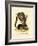 Caucasian Squirrel-null-Framed Giclee Print