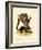 Caucasian Squirrel-null-Framed Giclee Print