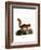 Caucasian Squirrel-null-Framed Giclee Print