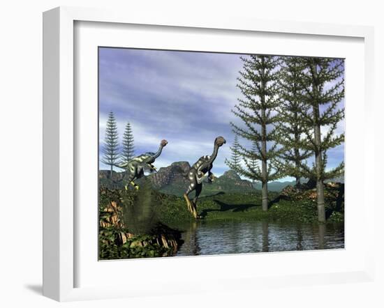 Caudipteryx Dinosaurs at the Water's Edge Next to Tempskya Trees-Stocktrek Images-Framed Art Print