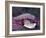 Caught in a droplet-Jimmy Hoffman-Framed Photographic Print