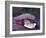 Caught in a droplet-Jimmy Hoffman-Framed Photographic Print