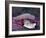 Caught in a droplet-Jimmy Hoffman-Framed Photographic Print