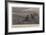 Caught, Train Wreckers Surprised by an Armoured Train Near Edenburg-Joseph Nash-Framed Giclee Print