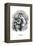 Caught-Thomas Nast-Framed Stretched Canvas