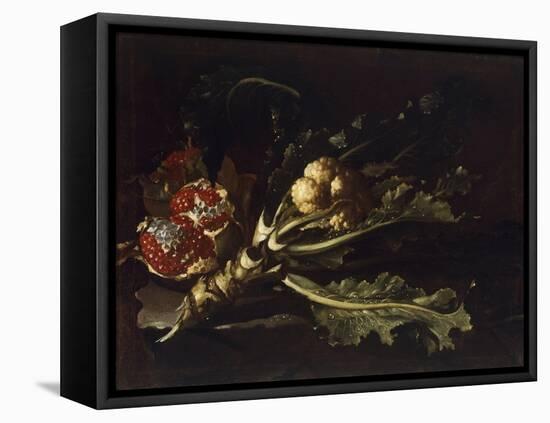 Cauliflower and Pomegranates-Pietro Paolo Bonzi-Framed Premier Image Canvas