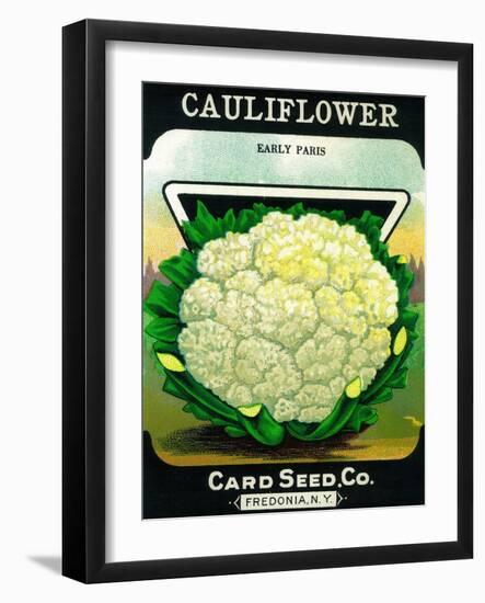 Cauliflower Seed Packet-Lantern Press-Framed Art Print