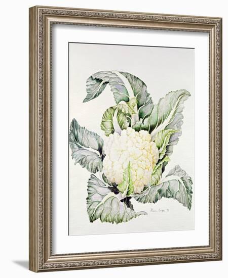 Cauliflower Study, 1993-Alison Cooper-Framed Giclee Print