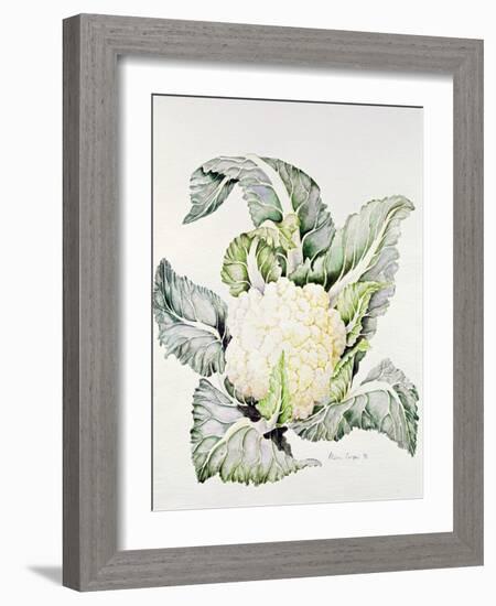 Cauliflower Study, 1993-Alison Cooper-Framed Giclee Print