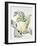 Cauliflower Study, 1993-Alison Cooper-Framed Giclee Print