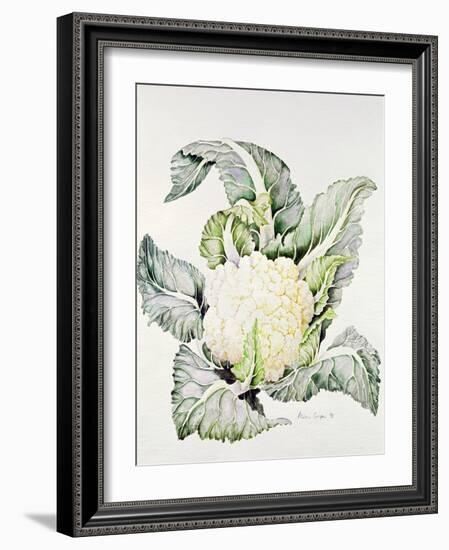 Cauliflower Study, 1993-Alison Cooper-Framed Giclee Print