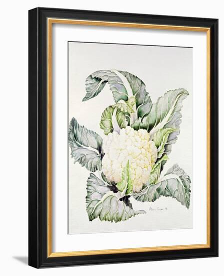 Cauliflower Study, 1993-Alison Cooper-Framed Giclee Print