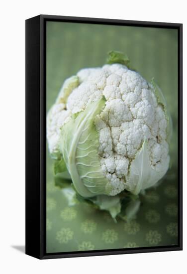 Cauliflower-Veronique Leplat-Framed Premier Image Canvas