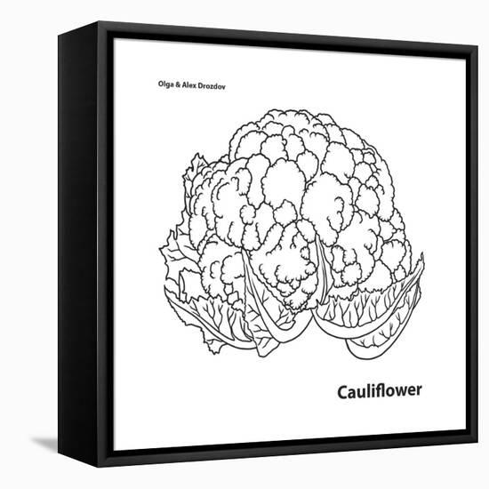 Cauliflower-Olga And Alexey Drozdov-Framed Premier Image Canvas