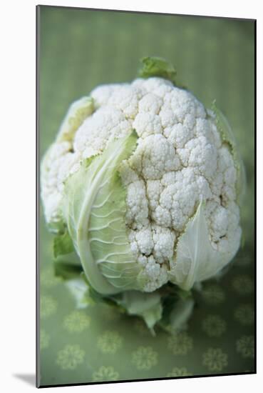 Cauliflower-Veronique Leplat-Mounted Photographic Print