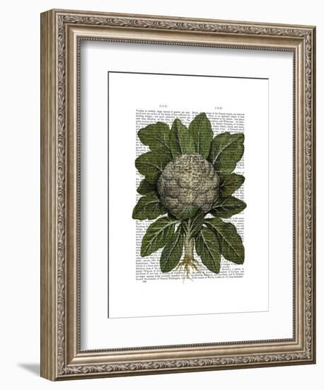 Cauliflower-Fab Funky-Framed Art Print