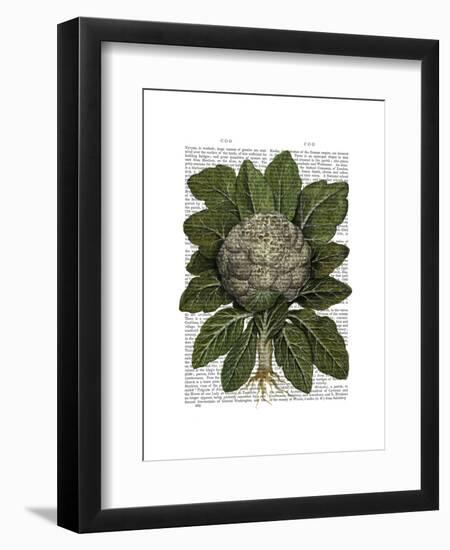 Cauliflower-Fab Funky-Framed Art Print