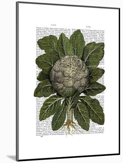 Cauliflower-Fab Funky-Mounted Art Print